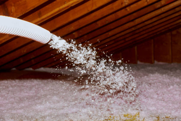 Best Garage Insulation Installation  in Dodgeville, WI