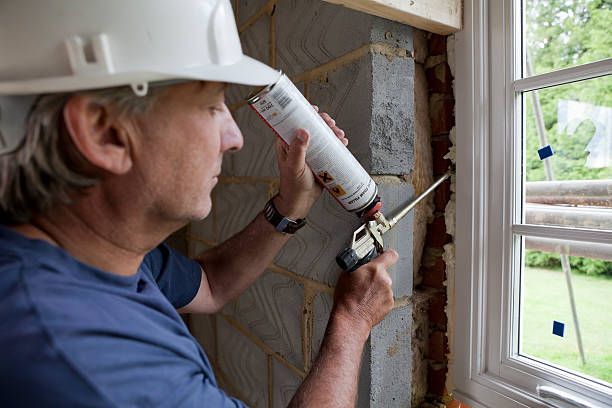 Best Insulation Replacement Services  in Dodgeville, WI