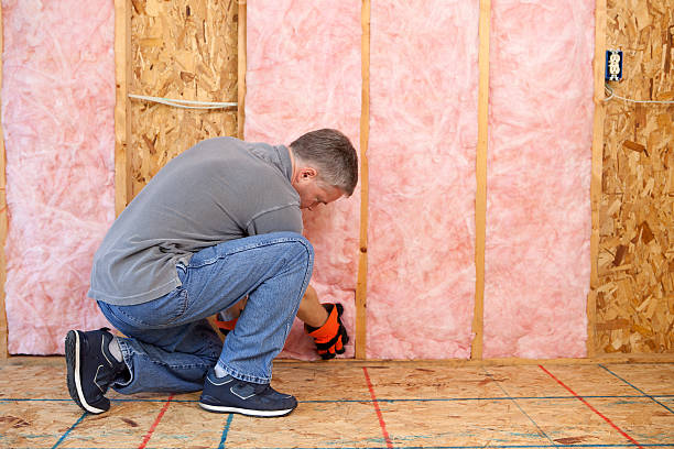 Insulation Repair Services in Dodgeville, WI