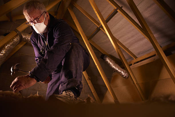 Best Local Insulation Services  in Dodgeville, WI